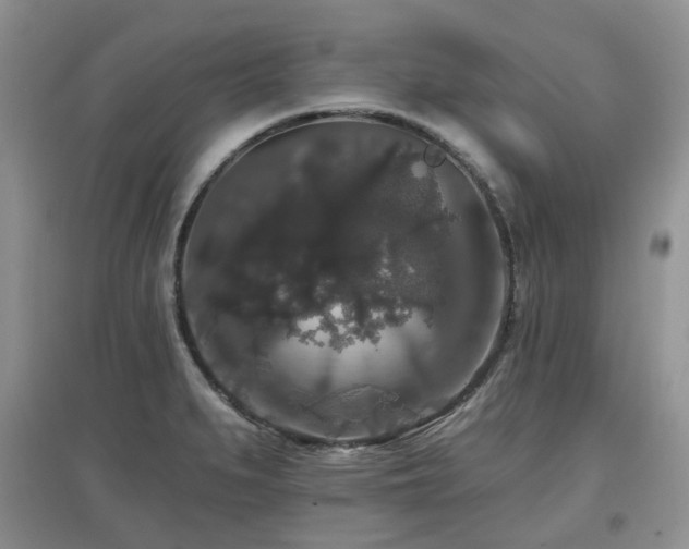 X0000097911279200803141410