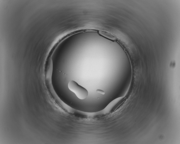 X0000097911280200803141410