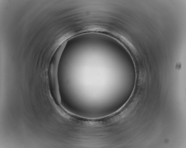 X0000097911281200803141410