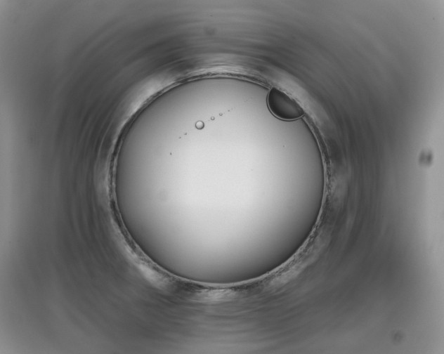 X0000097911282200803141410