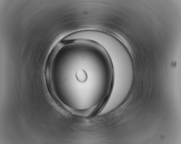 X0000097911283200803141410