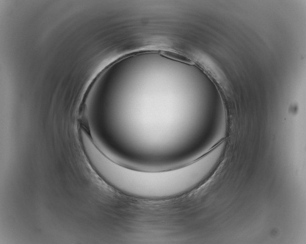 X0000097911284200803141410