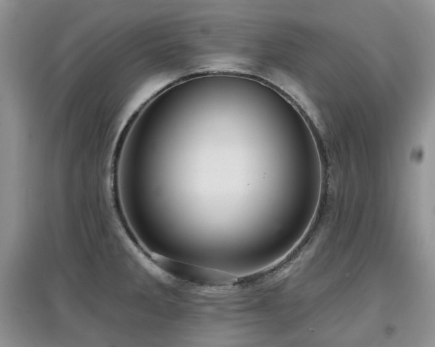 X0000097911285200803141410