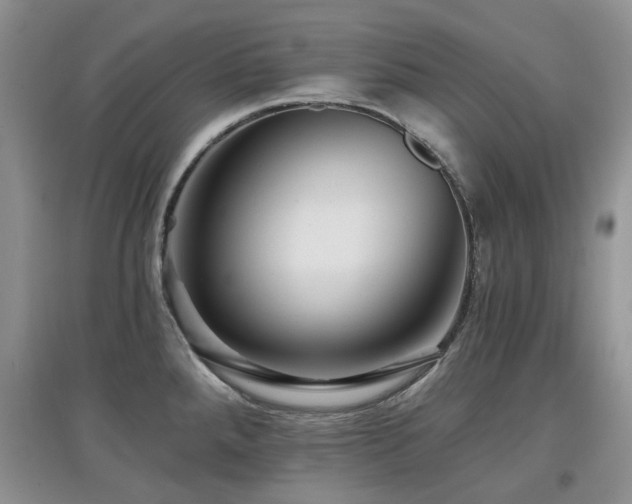 X0000097911288200803141410