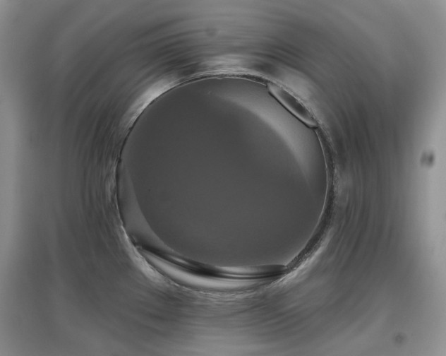 X0000097911289200803141410
