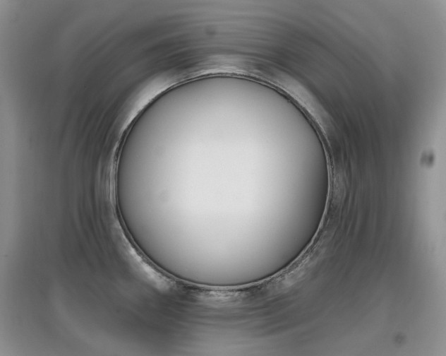 X0000097911290200803141410