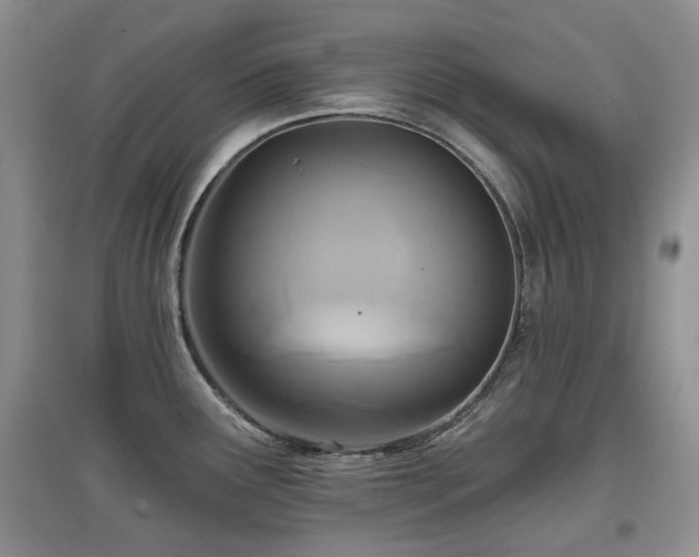X0000097911291200803141410