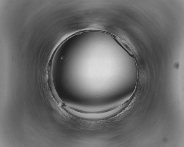 X0000097911292200803141410
