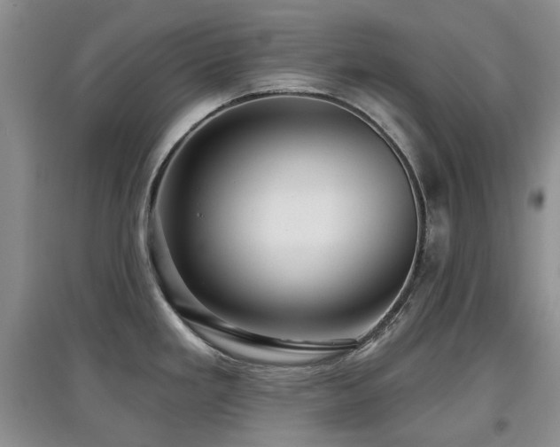 X0000097911293200803141410