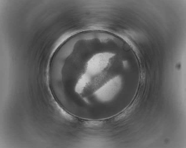 X0000097911294200803141410