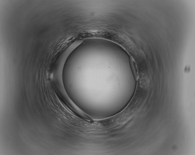 X0000097911298200803141409