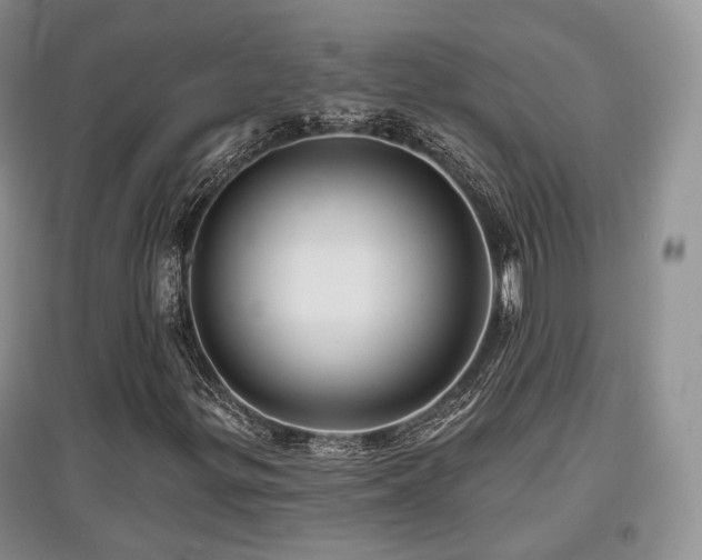 X0000097911299200803141409