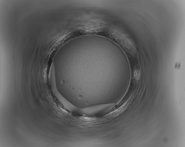 X0000097911300200803141409