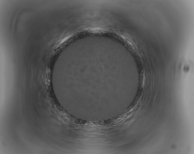 X0000097911301200803141409