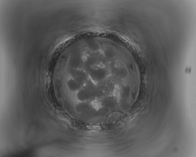 X0000097911302200803141409