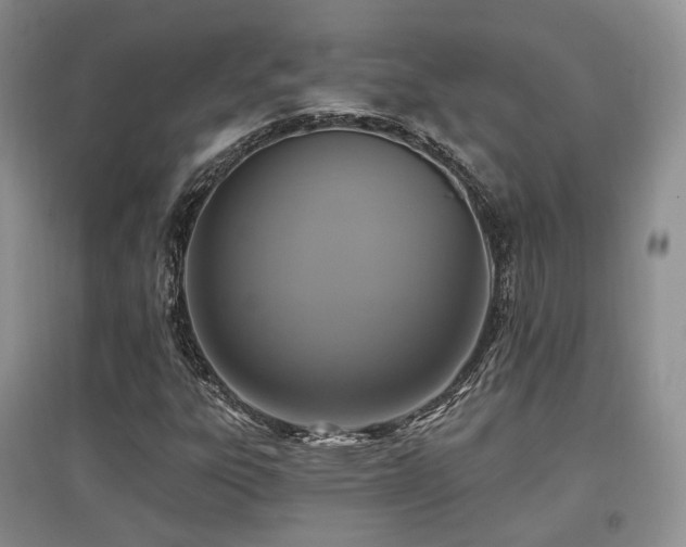 X0000097911303200803141409