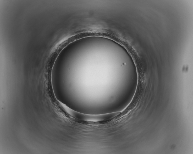 X0000097911304200803141409