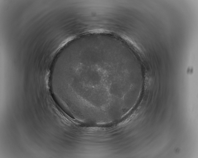 X0000097911305200803141409