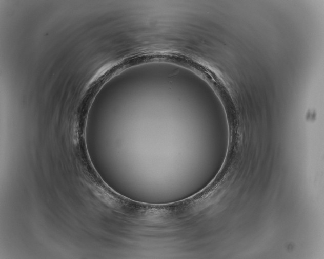 X0000097911306200803141409