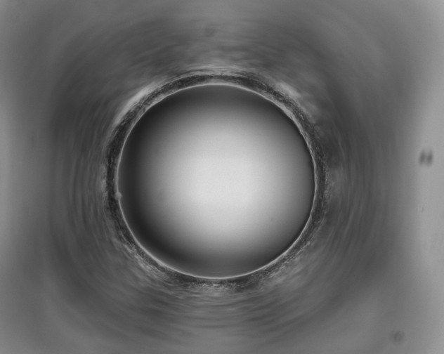 X0000097911307200803141409