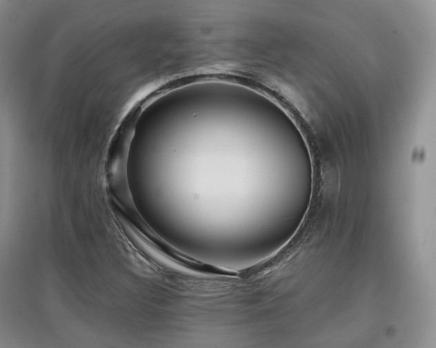 X0000097911308200803141409