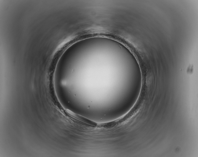 X0000097911309200803141409