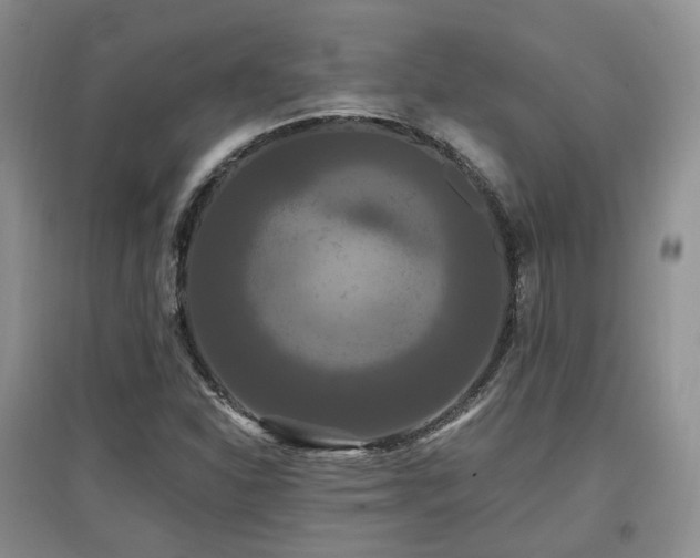 X0000097911310200803141409