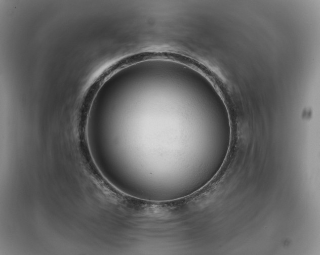 X0000097911311200803141409