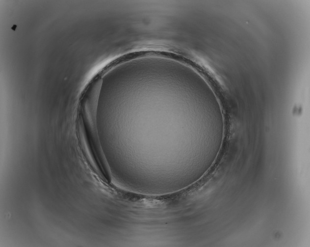X0000097911312200803141409