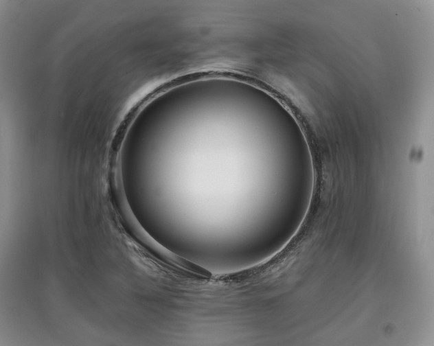 X0000097911316200803141409