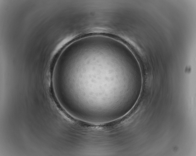 X0000097911317200803141409