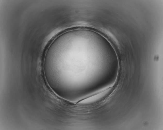 X0000097911318200803141409