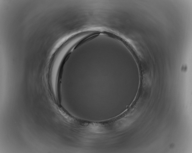 X0000097911319200803141409