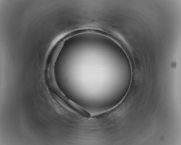 X0000097911320200803141409