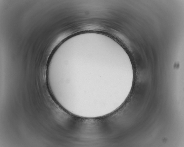 X0000097911322200803141409