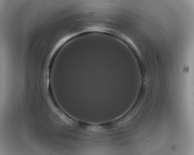 X0000097911323200803141409