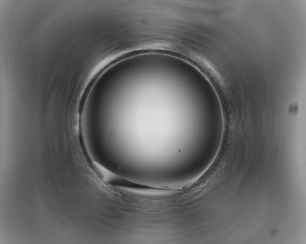 X0000097911324200803141409