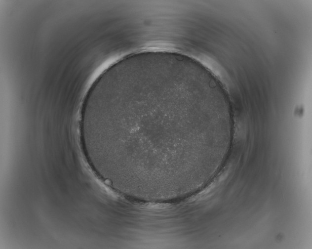 X0000097911325200803141409