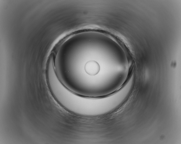 X0000097911326200803141409