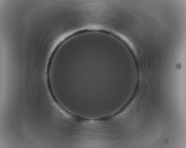 X0000097911327200803141409