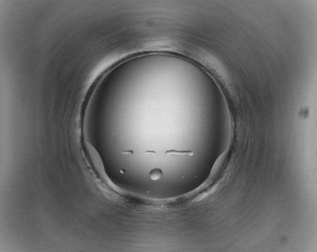 X0000097911328200803141409