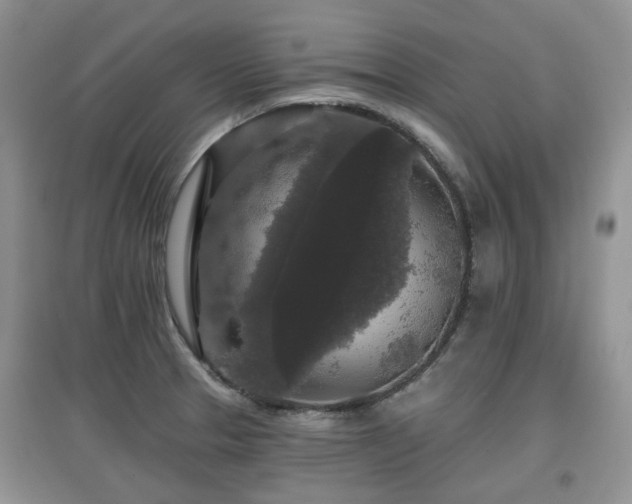 X0000097911329200803141409