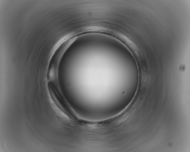X0000097911330200803141409