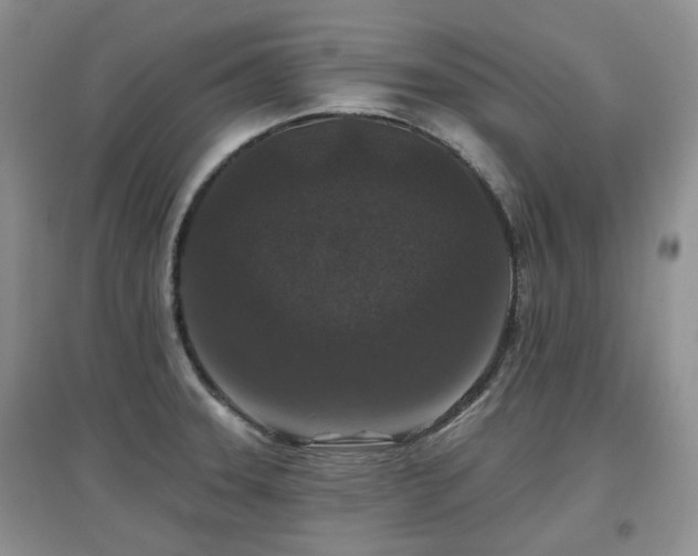 X0000097911331200803141409
