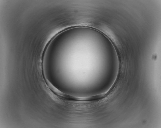 X0000097911332200803141409