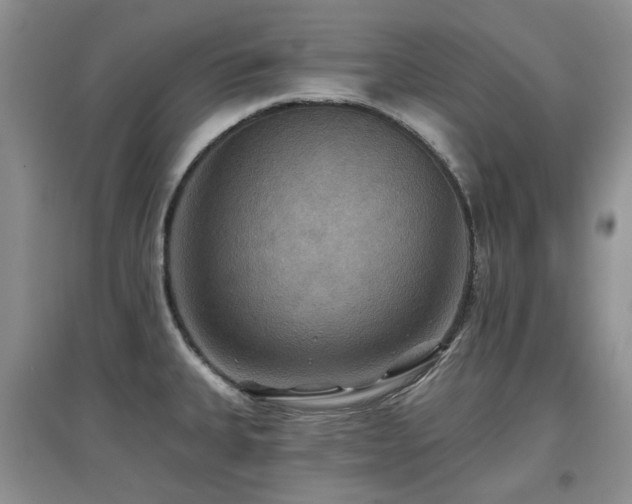 X0000097911335200803141409