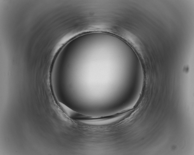 X0000097911336200803141409