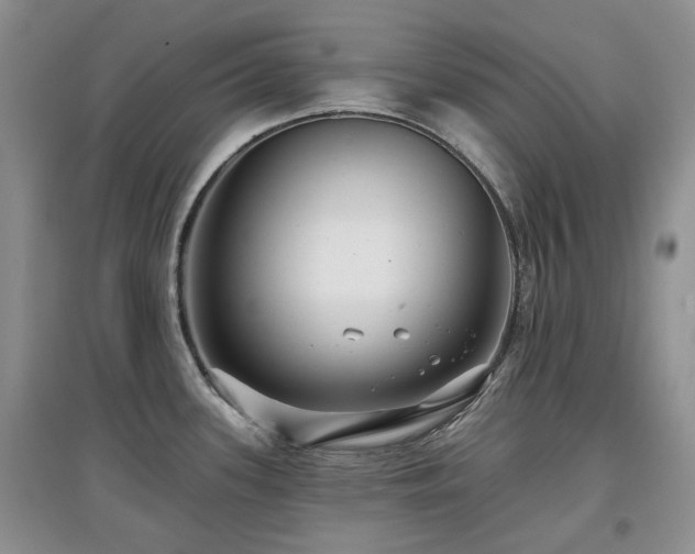 X0000097911339200803141409