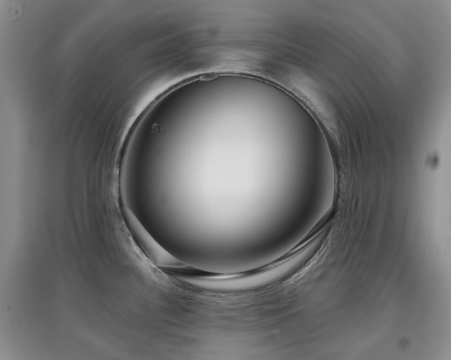 X0000097911340200803141409