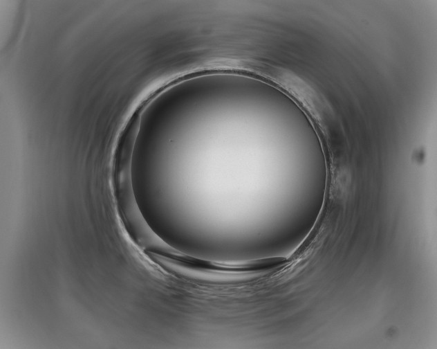 X0000097911342200803141409